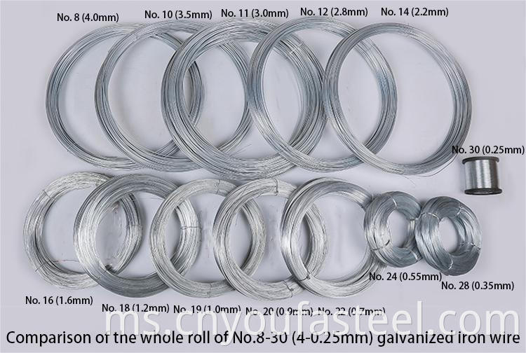 Galvanized Iron Wire